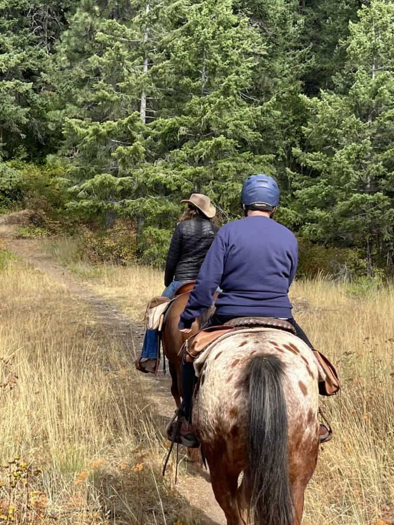 A Dude Ranch Adventure: A Tale of Safety Concerns